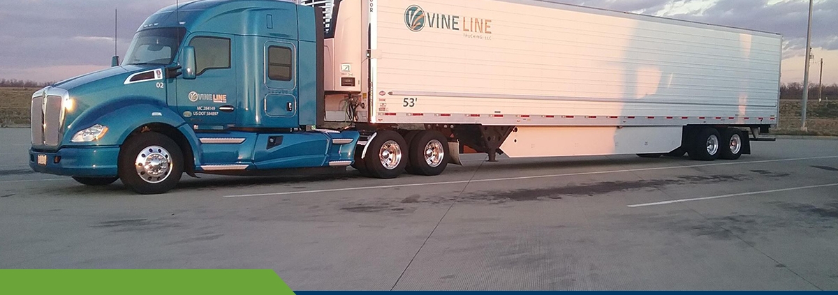 vine line logistics
