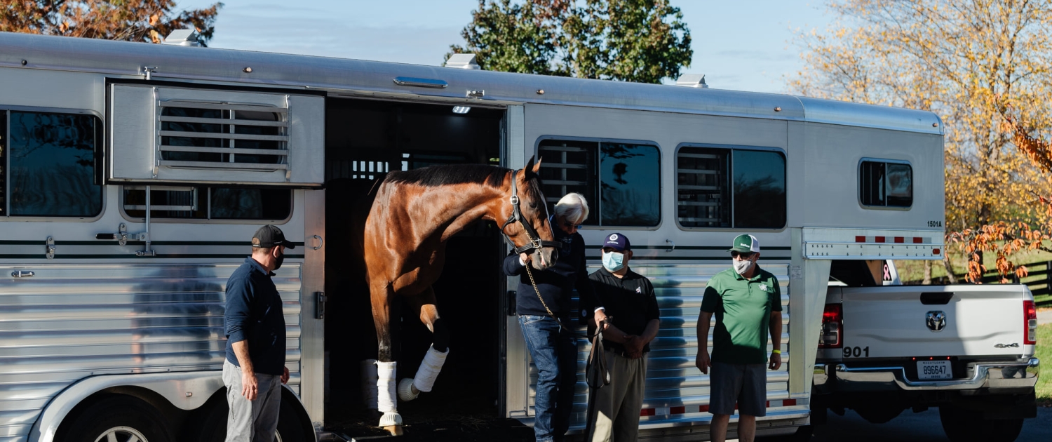 horse transport