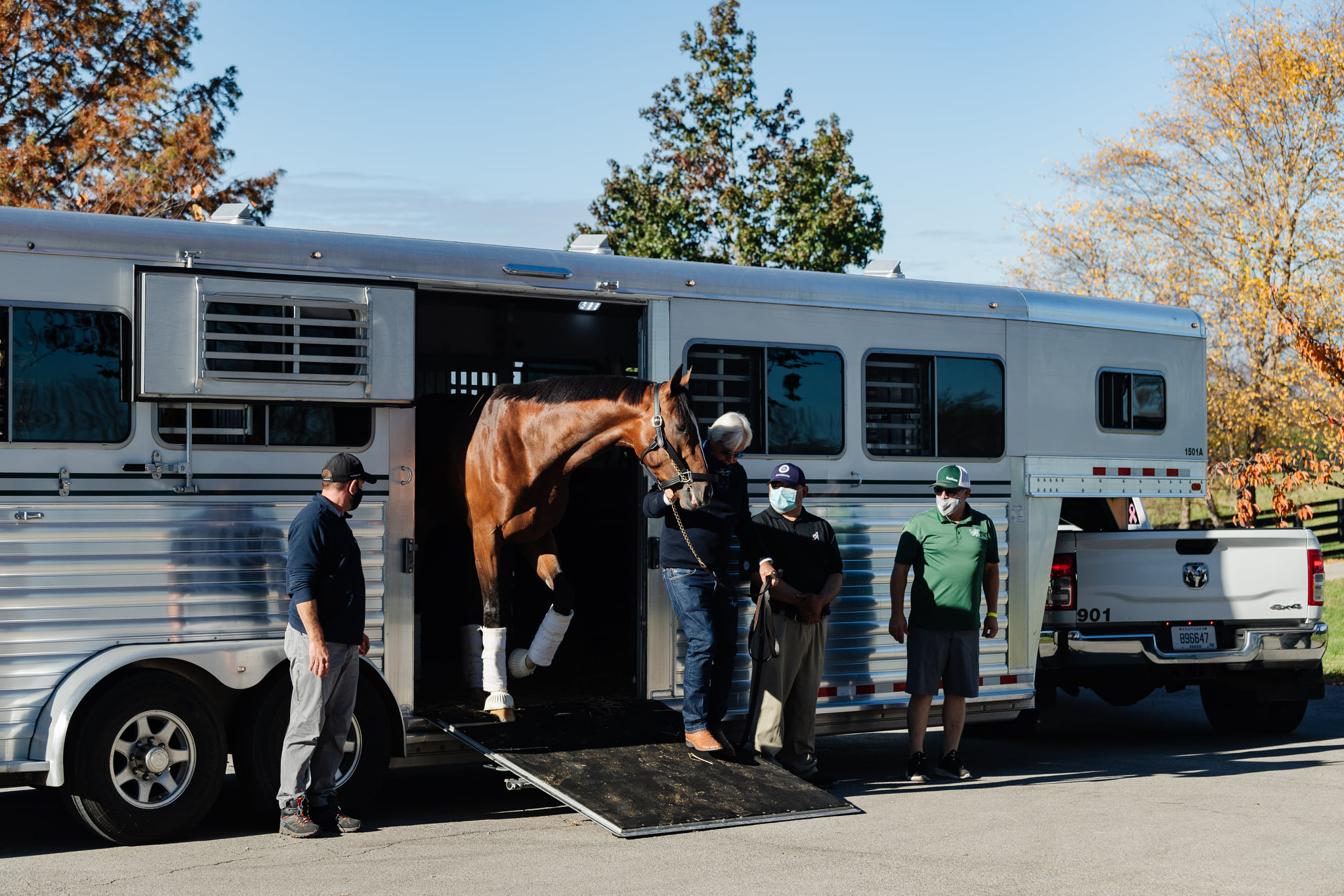 What's it Like Being a Horse Transport Truck Driver? Drive My Way